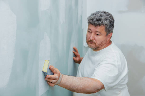 Professional Mold Removal in New Market, MD