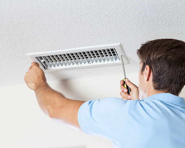 Best Environmental Consulting for Mold Prevention  in New Market, MD