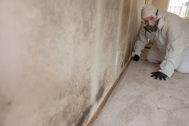 Best Post-Remediation Verification Testing  in New Market, MD