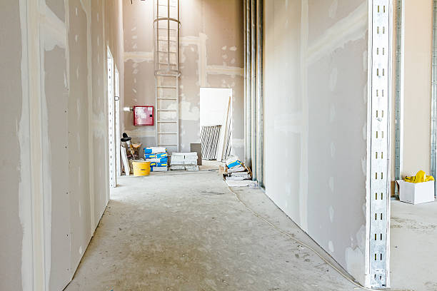Best Mold Remediation for Healthcare Facilities  in New Market, MD